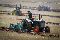 ploughing match 536