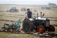 ploughing match 542