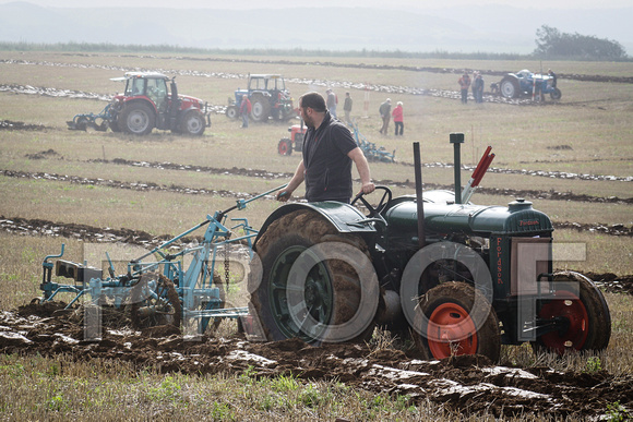 ploughing match 542